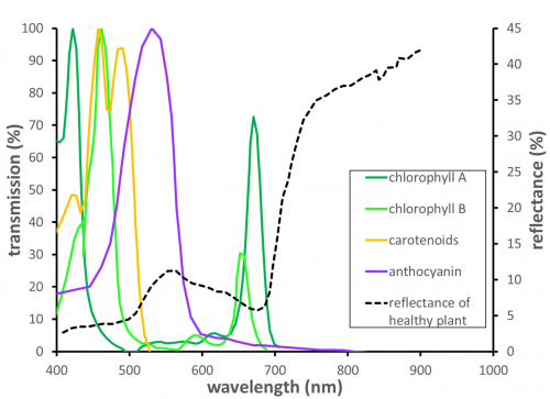 "Common pigments found in plants and at typical reflectance spectrum"