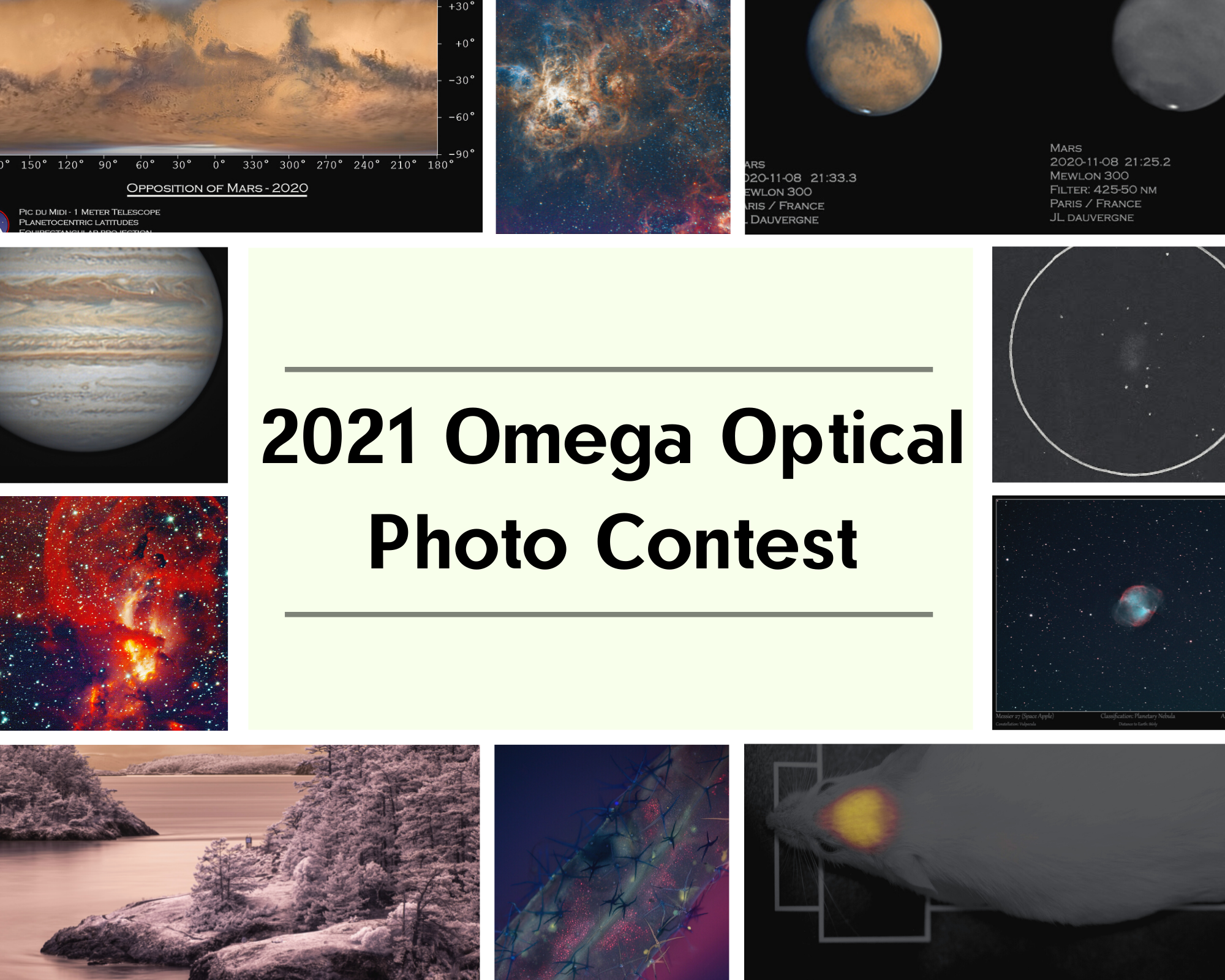 2021 photo contest optics industry