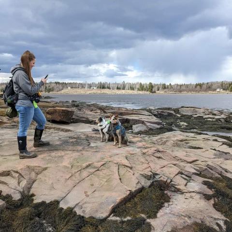 Stephanie in Maine